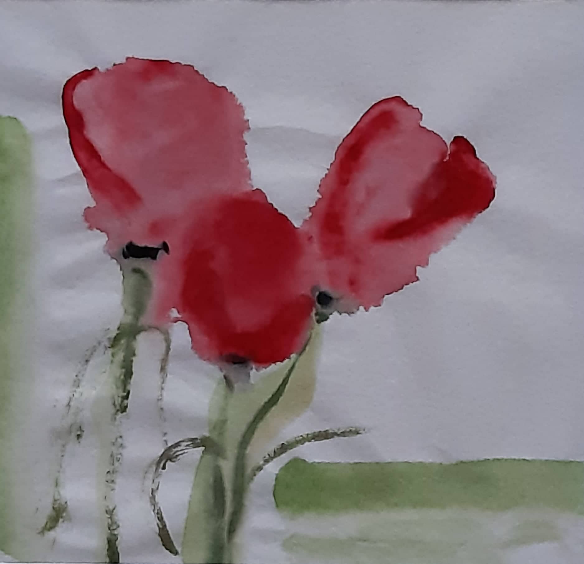 fiori acquerello su carta di riso 19 x 18 cm 2019